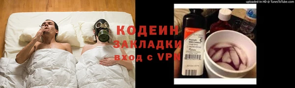 ГАЛЛЮЦИНОГЕННЫЕ ГРИБЫ Алексеевка