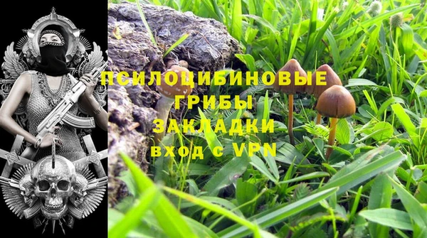 бошки Алексин