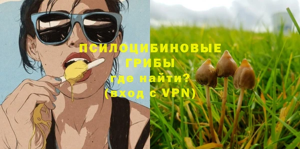 марки nbome Козловка