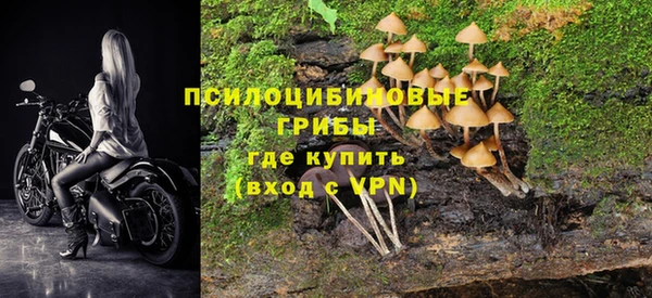 каннабис Алзамай