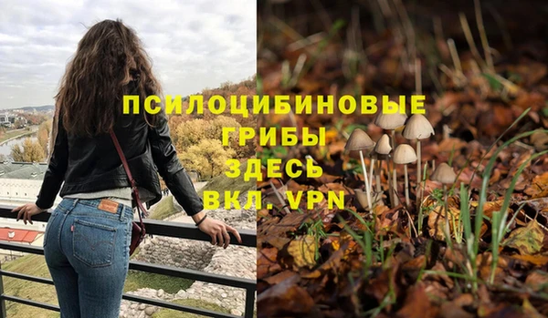 бошки Алексин
