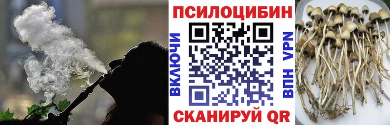 наркотики  hydra онион  Псилоцибиновые грибы мухоморы  Жирновск 